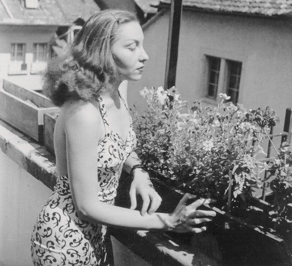 Beyond the Fig Tree: Embracing Clarice Lispector's Abyss in the Age of TikTok